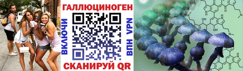 Псилоцибиновые грибы Psilocybine cubensis  кракен как зайти  Питкяранта 