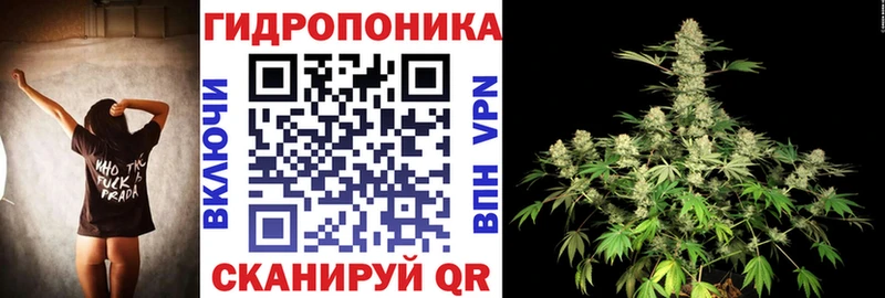 KRAKEN зеркало  даркнет формула  Шишки марихуана ГИДРОПОН  Питкяранта 